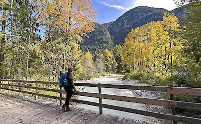 Nature's beauty in the Bavarian Alps. -to