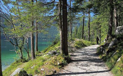 The scenic trails around Eibsee. Flickr: Dmitry Djouce