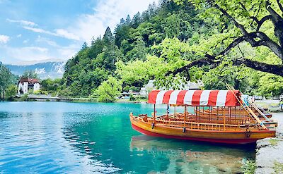 Pletna boats on Lake Bled. Unsplash:Jason Thomas