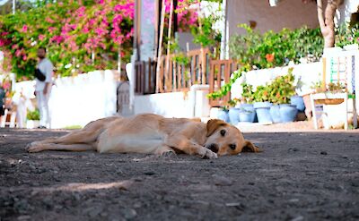 A lazy day in Bodrum, Turkey.