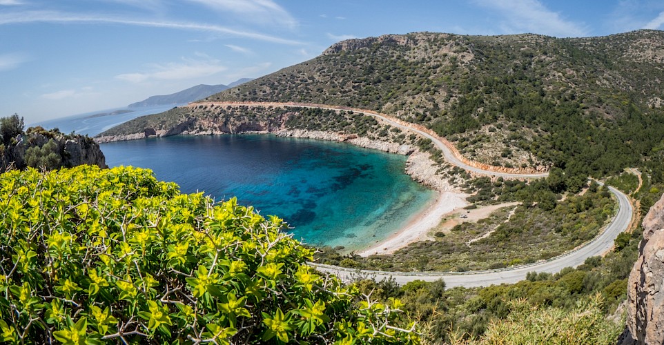 A delightful little bay. CC: IH