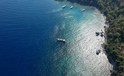 Forested coast of Bodrum from above, Turkey. Unsplash@Mehmet Belet