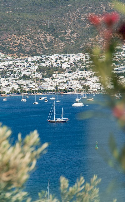 View of Bodrum through foliage, Turkey. Unsplash@Encal Media