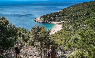 Descending toward a sheltered bay on a forested trail. toST