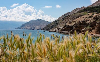 Mediterranean grasses with mountain and sea views. toST