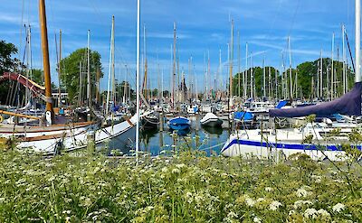 Tha marina in Hoorn. Unsplash:Wouter Kloos