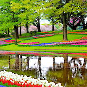 Springtime Splendor in Holland - Spring in Holland! Flickr:Elise