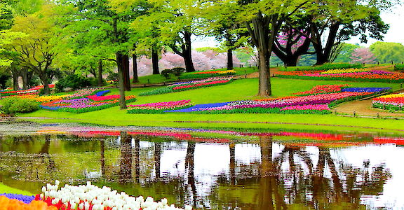 Spring in Holland! Flickr:Elise