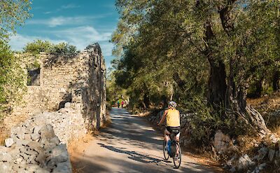 Scenic cycling trails. toIH