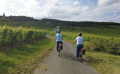 Cycling to Niederwalder monument. to BBT