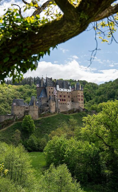 Eltz castle hidden in the lush green valley. unsplash:david emrich