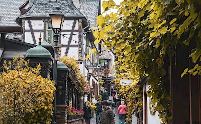 Half-timbered houses in Rüdesheim, Germany. Unsplash@Joshua Kettle