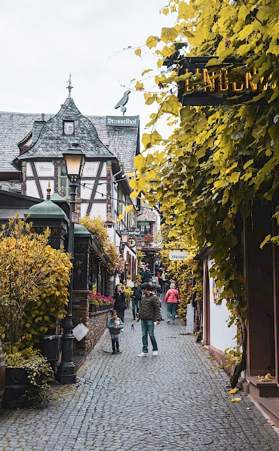 Half-timbered houses in Rüdesheim, Germany. Unsplash@Joshua Kettle