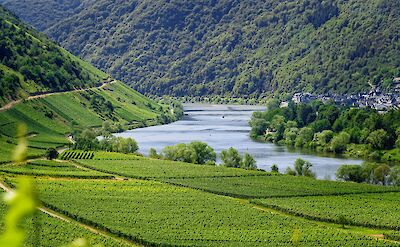 Scenic views along the Mosel. toBBT