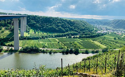 Vineyards of Winningen, Germany. Unsplash@Mohammad Edris Afzali