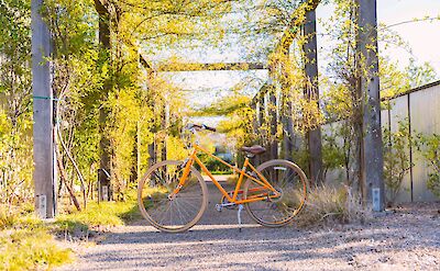 Orange Bike. Unsplash: Edgar Chaparro.