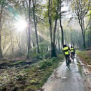 The Green Divide of The Netherlands - Cyclists riding through a sunlit forest trail, surrounded by tall trees with light streaming in, possibly in the Netherlands.