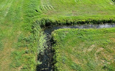 Field corners, Hattem, Netherlands. Unsplash:Ries Bosch