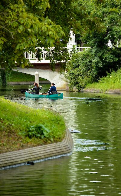 Rowing on the river, Utrecht, Netherlands. Unsplash:Joao Guimaraes