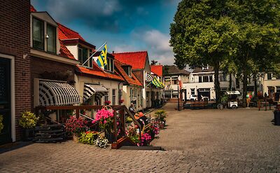 Shops in Harderwijk, Netherlands. Unsplash:Christian Wolf