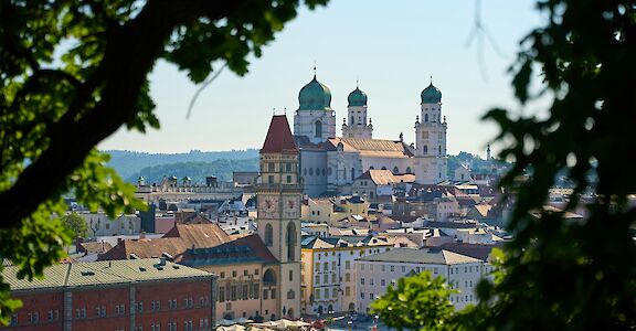 Viewing Passau through foliage, Germany. Unsplash:Lukas Seitz