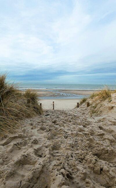 Belgium's scenic coastline. unsplash@Romina Vander Haeghen