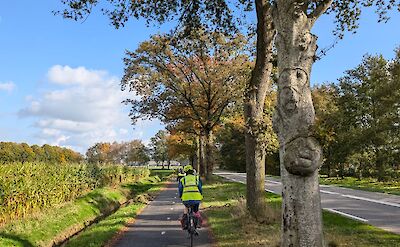 Cycling in Holland ©Tripsite