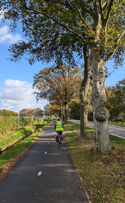 Cycling in Holland ©Tripsite