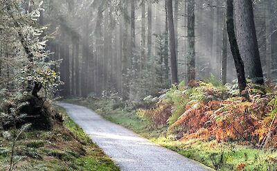 Fairytale cycle paths in Holland ©tripsite