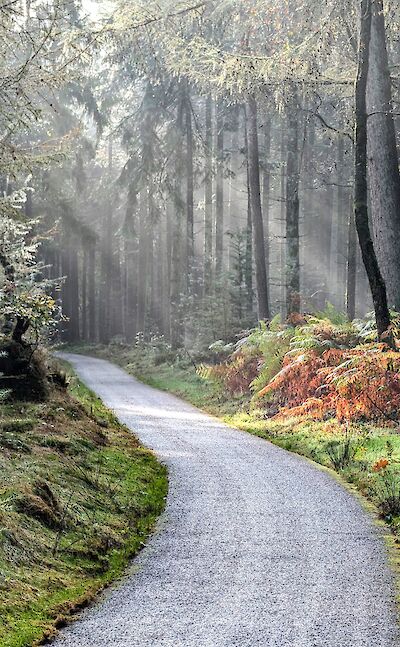 Fairytale cycle paths in Holland ©tripsite