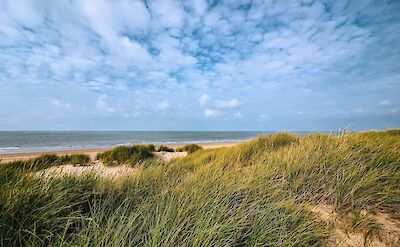 Sand dunes along Belgium's coast. pex@NBasak