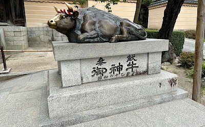 Bronze ox statue believed to grant wisdom and success whe you rub its head. Flickr@Bryan