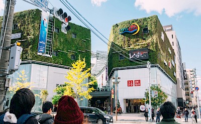 Buildings covered in foliage, Fukuoka, Kyushu Island, Japan. Unsplash@Tayawee Supan