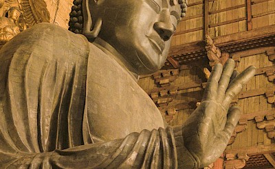A giant bronze Buddha statue inside a historic wooden hall. Unsplash@Gavin Li