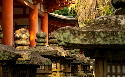 Dusk in Nara, Japan. Unsplash@Svetlana Gumerova