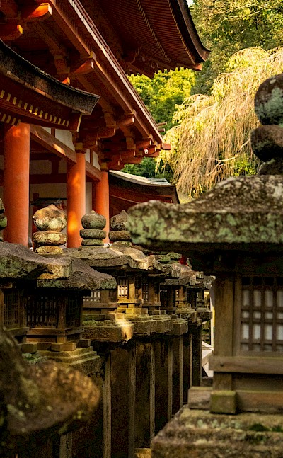 Dusk in Nara, Japan. Unsplash@Svetlana Gumerova