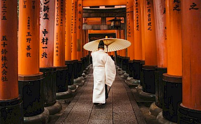 A walk through the famous tunnel of bright red torii gates. Pexels@dsd