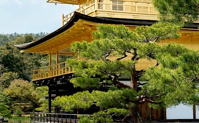 Kinkaku-ji (Golden Pavilion) in Kyoto