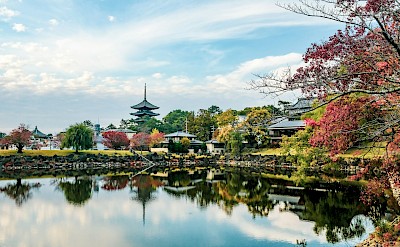 Pagoda by the Water in Nara. Unsplash@Jo Sorgenfri