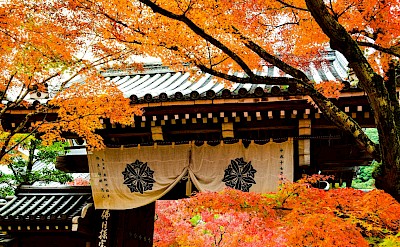 Shrine in Kyoto, Japan. Unsplash@AXP Photography