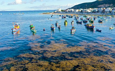 Coastal Fishing Village. TriNguyen@pexels