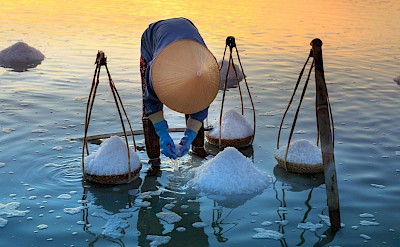 Salt Harvesting. QuangNguyenVinh@pexels