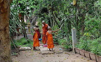 Monks walking through Angkor Wat, Cambodia bike tour. Unsplash@Matt Bryson