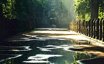 Puddles on the road to Angkor Wat, Cambodia bike tour. Unsplash@Alexandre Brondino