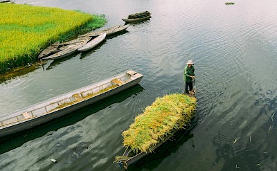 Farmer paddling a boat full of harvested rice. Pexels@Vubui
