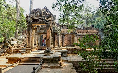 Temples in the trees at Angkor Wat, Cambodia bike tour. Unsplash@Peter Borter