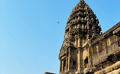 Top of a temple at Angkor Wat, Cambodia bike tour. Unsplash@Yannick Apollon