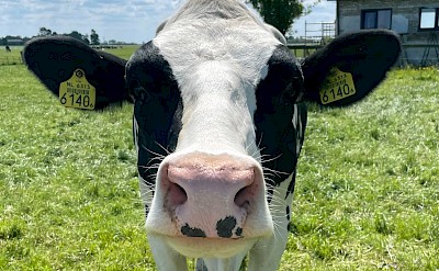 A true countryside moment! ©Hennie