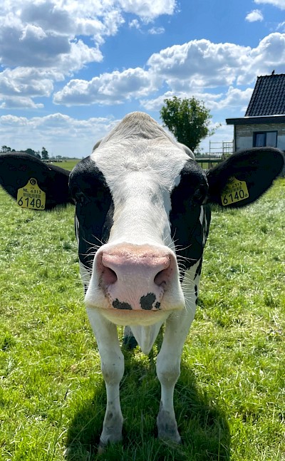 A true countryside moment! ©Hennie