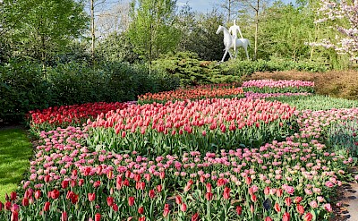 Tulip fields in full bloom at Keukenhof Gardens. Flickr@Naval S